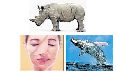 ரத்தத்தின் ரத்தமே... 28