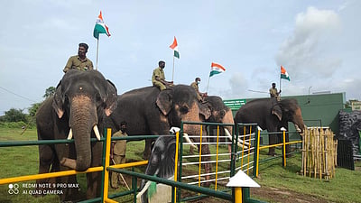 முதுமலை புலிகள் காப்பகத்தில் யானைகள் அணி வகுப்புடன் சுதந்திர விழா