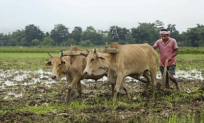 திருச்சி - நாகப்பட்டினம் பகுதி வேளாண் தொழில் பெருந்தடமாக அறிவிக்கப்படும்