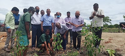 சிவகாசி பொறியியல் கல்லூரியில் 40 ஆயிரம் மரகன்றுகள் நடல்