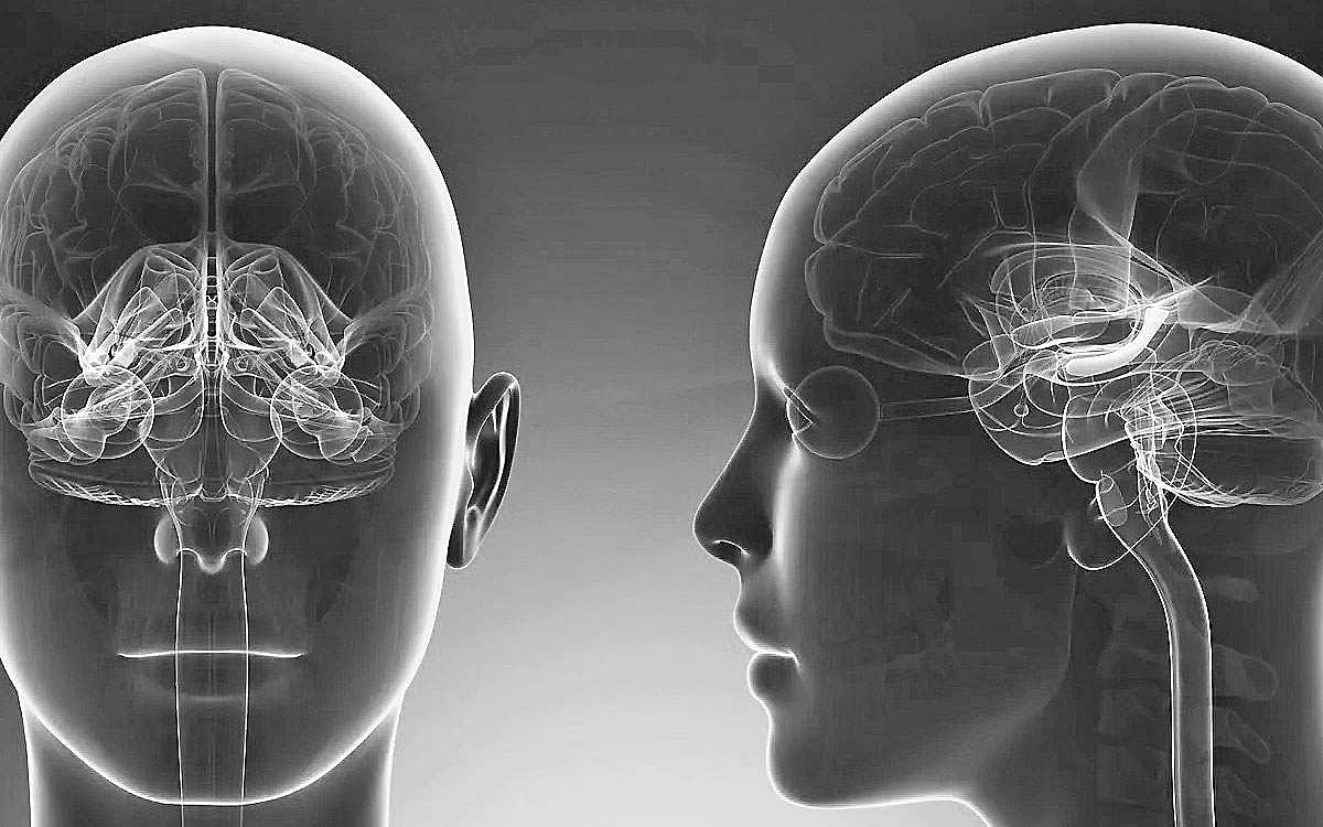 ஹிப்போகேம்பஸ்... நினைவாற்றல்... நல்ல தூக்கம்!