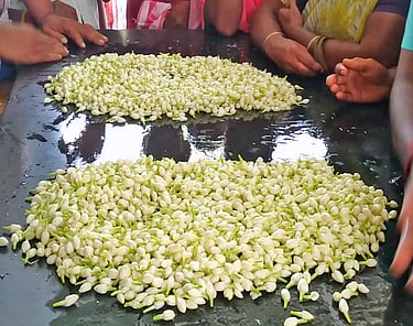 பரமத்தி வேலூா் சந்தையில் குண்டு மல்லி கிலோ ரூ.1,800-க்கு விற்பனை