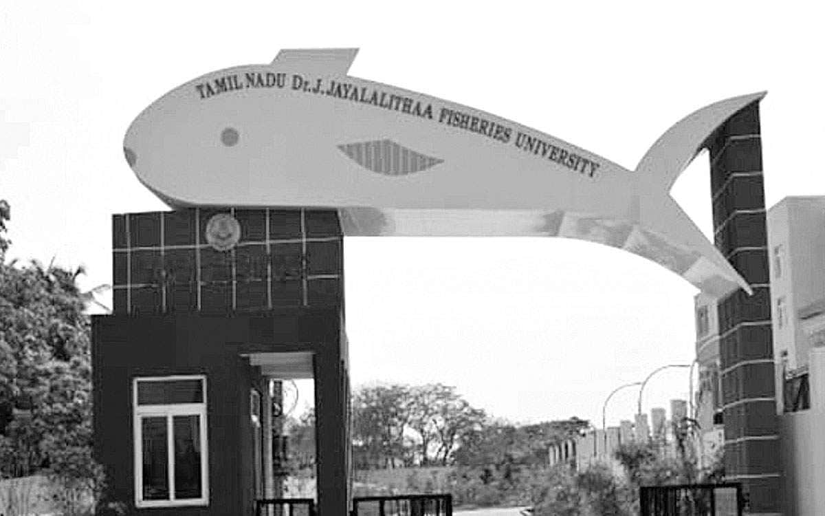 வேலை வாய்ப்பை வழங்கும் மீன் வளத்துறை படிப்புகள்!