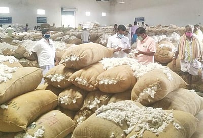 திருப்பூர்: மூலனூரில் ரூ.1.05 கோடிக்கு பருத்தி விற்பனை 