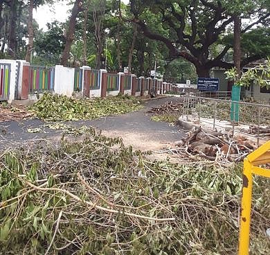 வஉசி பூங்காவில் வெட்டப்பட்ட மரக்கிளைகள்: இயற்கை ஆா்வலா்கள் வேதனை