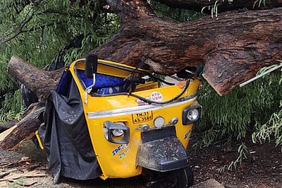 கள்ளக்குறிச்சி பகுதியில் சூறாவளி காற்றுடன் மழை மின்கம்பங்கள், மரங்கள் சாய்ந்தன