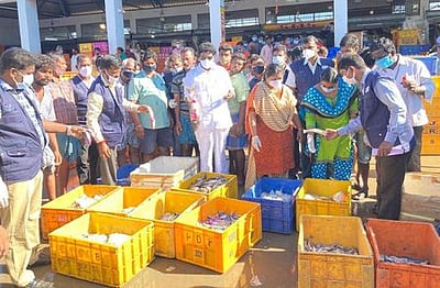 உறையூா் சந்தையில் ரசாயனம் தடவிய மீன்கள் பறிமுதல்