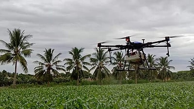 ட்ரோன் மூலம் பூச்சிமருந்து தெளித்த அருப்புக்கோட்டை விவசாயி