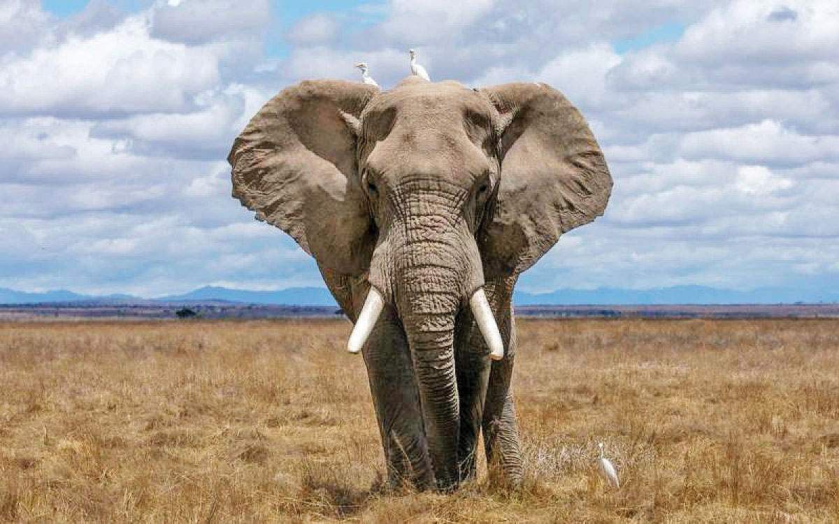 வாழ்நாள் எழுபது ஆண்டுகள்