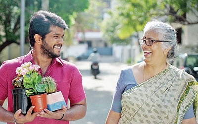 பாட்டியும் பட்டதாரியும்