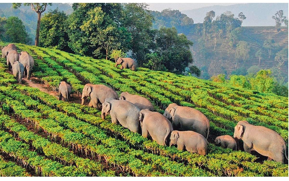 கருவூலம்!: ஜாலி டூர்!