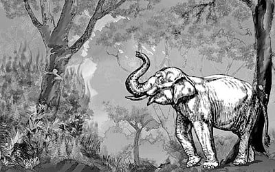 செங்காந்தள் மலர் கண்டு அஞ்சிய யானை