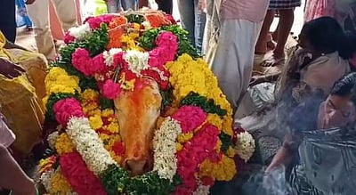 கிருஷ்ணகிரி அருகே எருது உயிரிழப்பு: பொதுமக்கள் கண்ணீர் அஞ்சலி