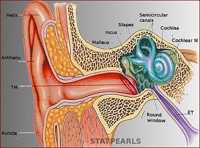 காதுகளில் என்ன பிரச்னை? காது கொடுத்து கேட்போம்!