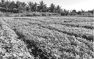 தொடர் முயற்சி... வெற்றி!