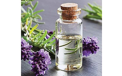 லாவண்டர் எண்ணெய்யின் பயன்கள்!
