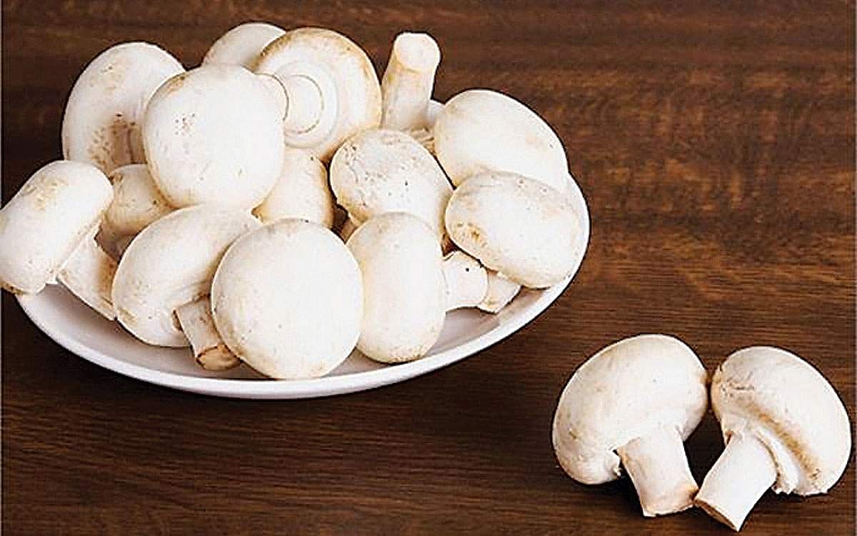 மீண்டும் சூடு படுத்தாதீர்!