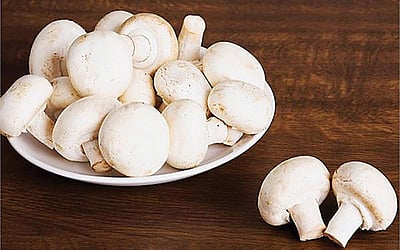 மீண்டும் சூடு படுத்தாதீர்!