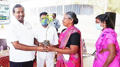 நாலுமாவடியில் மரக்கன்று நடும் பயிற்சி