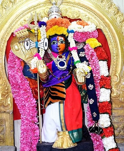 அர்த்தனாரீஸ்வரர் அலங்காரத்தில் சங்ககிரி காசி விசாலாட்சி அம்மன் சுவாமி 