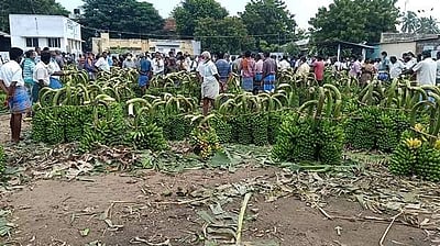 பரமத்திவேலூா் சந்தையில் வாழைத்தார் விலை உயர்வு: விவசாயிகள் மகிழ்ச்சி