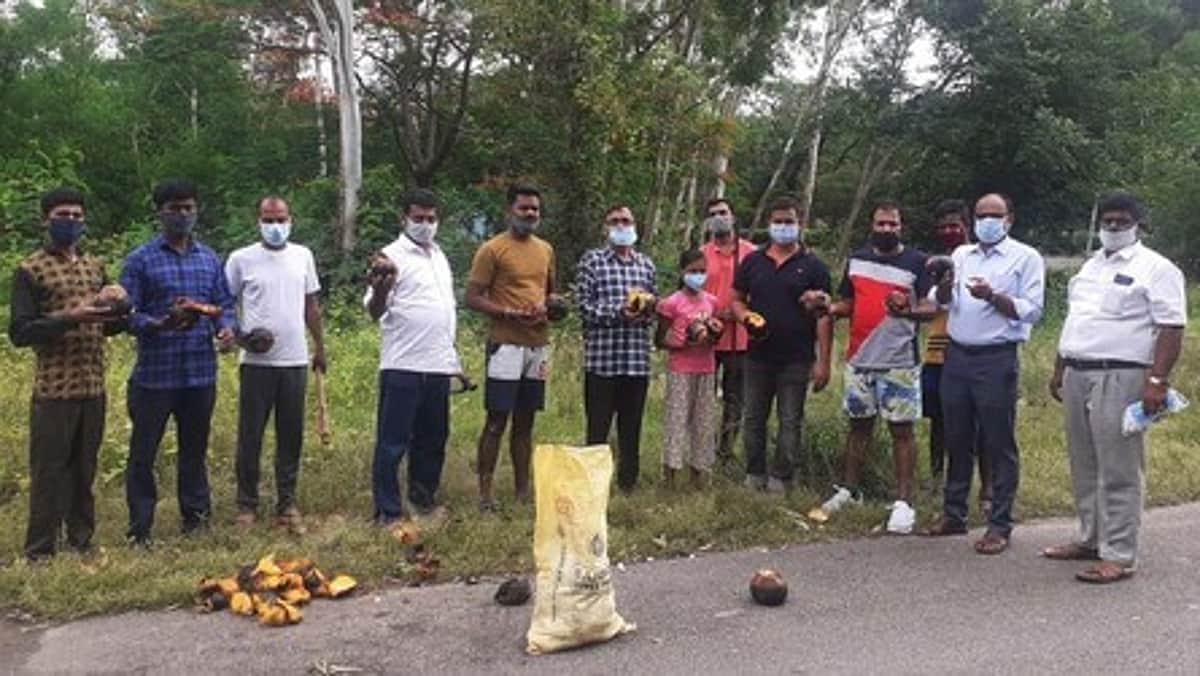 இயற்கையைப் பாதுகாக்கப் பனை விதைகள் நடவு