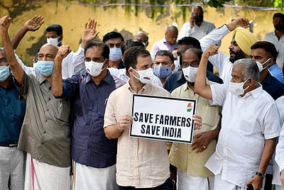 விவசாயிகளுக்கு ஆதரவாக போராட்டத்தில் கலந்து கொண்ட ராகுல் காந்தி - புகைப்படங்கள்