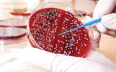 ரத்தத்தின் ரத்தமே... - 27