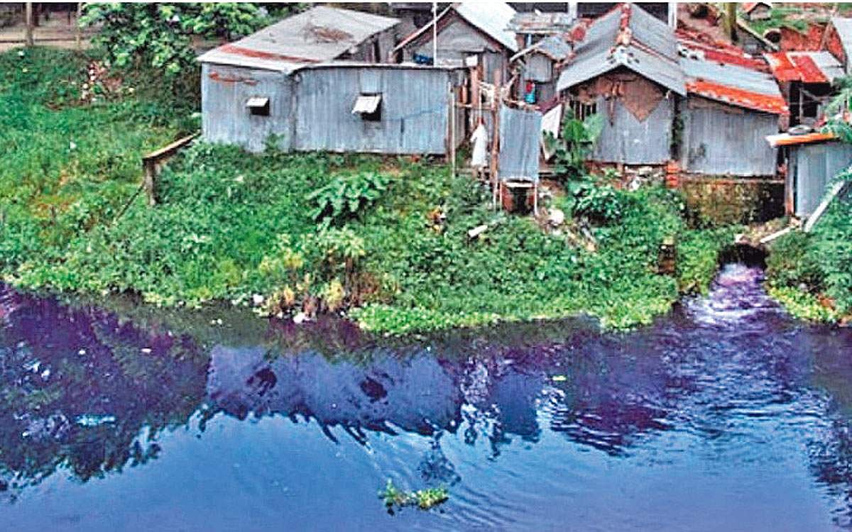 எருக்கம் செடி துணி!