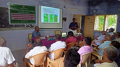 மக்காச்சோள படைப்புழு மேலாண்மை பயிற்சி