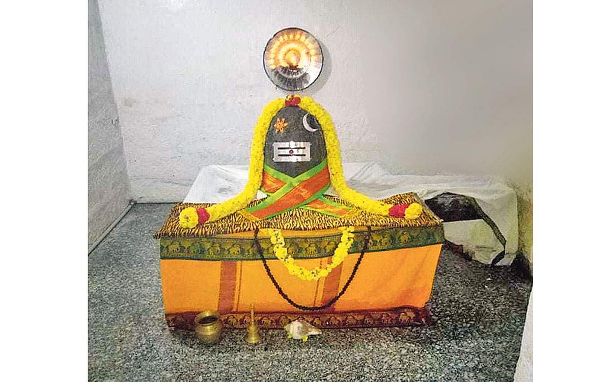 சர்ப்ப தோஷம் விலக...