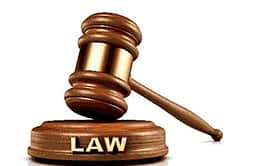 ஜனக்புரி: பள்ளத்தில் விழுந்து இளைஞா் இறந்த வழக்கில் காவல் துறையினா் 877 பக்க குற்றப்பத்திரிகை தாக்கல்