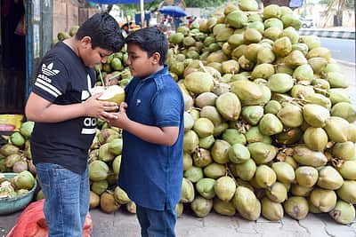 இளநீர் எப்போது அருந்த வேண்டும்?