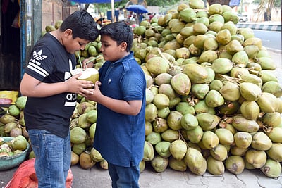 இளநீர் எப்போது அருந்த வேண்டும்?