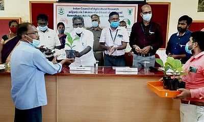 ‘ஊட்டச்சத்து மிகுந்த காய்கனி தோட்டங்கள் அமைக்க முனைப்புக்காட்ட வேண்டும்’