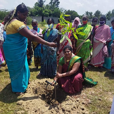 பெரிய ஓபுளாபுரத்தில் மரக்கன்றுகள் நடும் விழா