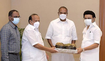 பனை மேம்பாட்டுத் திட்டம்: முதல்வர் மு.க.ஸ்டாலின் தொடக்கி வைத்தார்