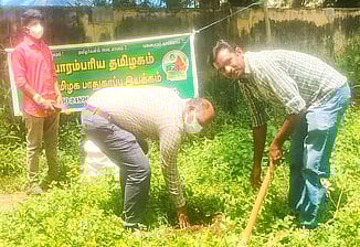 சங்ககிரி வருவாய் கோட்டாட்சியா் அலுவலக வளாகத்தில் 30 பனை விதைகள் விதைப்பு