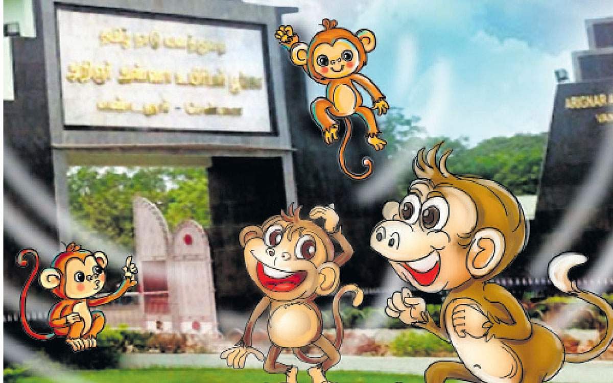 அரங்கம்: குறும்புக்கார குரங்கு