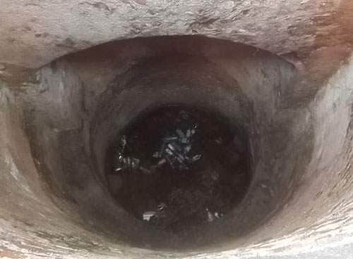 குஜராத்தில் ஆழ்துளைக் கிணற்றில் விழுந்த 12 வயது சிறுமி: மீட்பு பணிகள் தீவிரம்