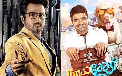 ''அந்த அரசியலைப் பற்றி பேச விரும்பவில்லை, நாய் சேகர் தலைப்பு...'': நடிகர் சிவகார்த்திகேயன் அதிரடி