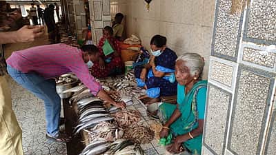 சீர்காழி மீன் சந்தையில் ரசாயனம் கலந்த மீன் விற்பனையா? அதிகாரிகள் ஆய்வு