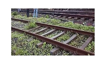 ஹிமாசலில் பயணிகள் ரயில் தடம்புரண்டது