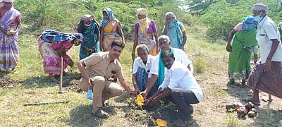 கோவில்பட்டி அருகே பனை விதைகள் ஊன்றும் விழா