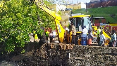 தூத்துக்குடியில் பக்கிள் ஓடையில் தவறிவிழுந்து கர்ப்பமான பசு மீட்பு