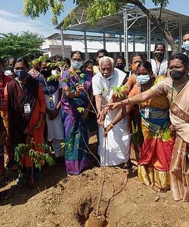 புதுகை அரசு மகளிா் கல்லூரி வளாகத்தில் மரக்கன்று நடல்