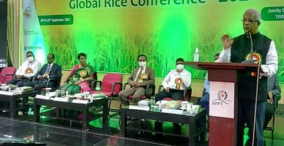 ஆந்திரா பொன்னிக்கு இணையாகப் புதிய நெல் ரகம் விரைவில் அறிமுகம்