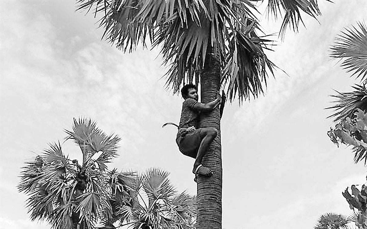 வங்கிப் பணி... பனைத் தொழில்!