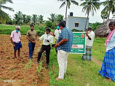 மக்காச்சோளப் பண்ணை பயிற்சி