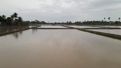 வேதாரண்யம் பகுதியில் கொட்டித் தீர்த்த  மழை!